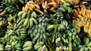Bei welchem Reifegrad hält eine Banane besonders lang satt?