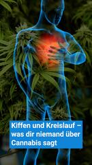 Kiffen und Kreislauf – was dir niemand über Cannabis sagt