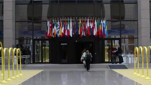 US-Lobbyisten sollen EU-Waldschutz ausgebremst haben