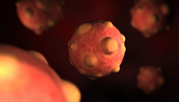 Animiertes Modell des Hantavirus. 
