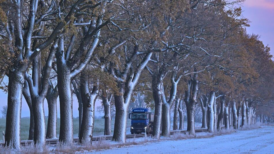 Winter in Brandenburg