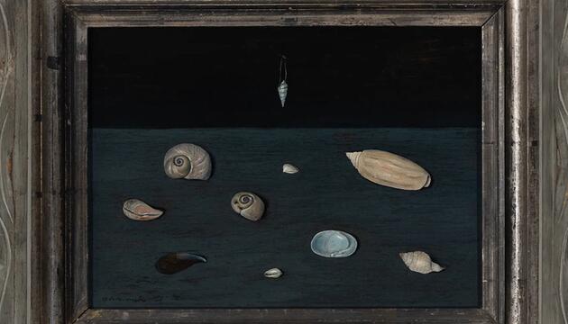 "Alderman Merriam's Shells" von 1951