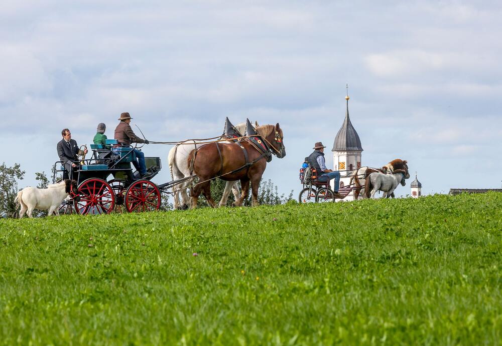 Kutschfahrt - Wetter im Südwesten