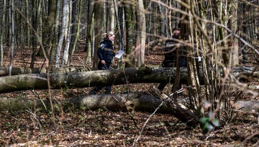Baum umgestürzt – Drei Tote bei Flensburg