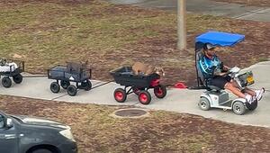 Tierischer Express: Australier chauffiert Hunde im Zug durch die Stadt