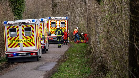 Baum umgestürzt – Drei Tote bei Flensburg