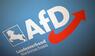 AfD in Niedersachsen