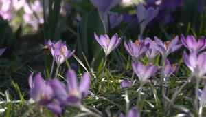 Sonne und Wärme zum Frühlingsstart