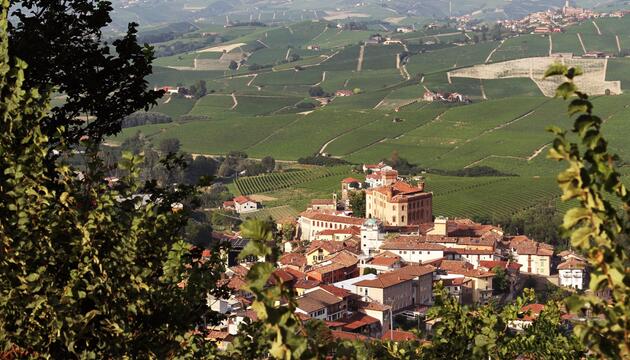 Blick auf Barolo