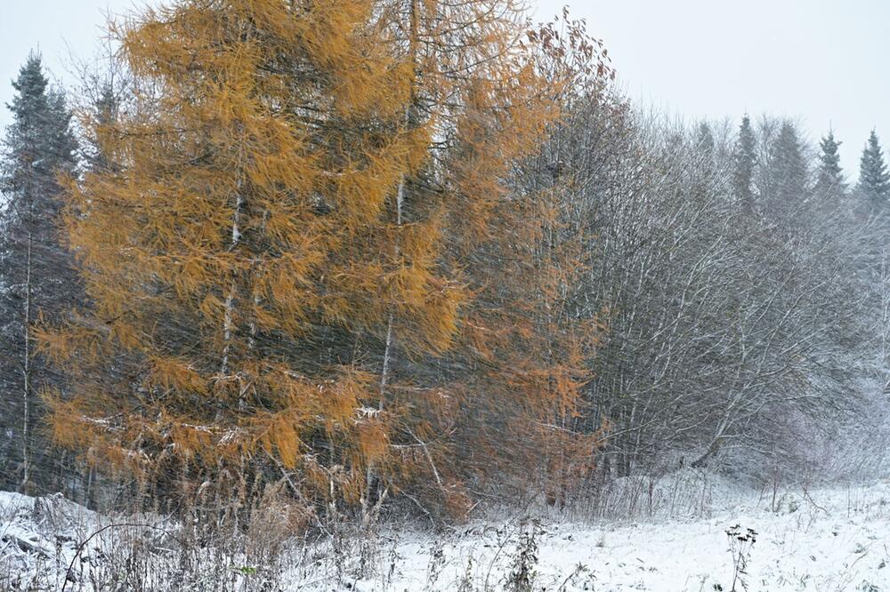 Winterwetter in Willingen