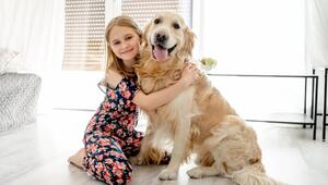 Hund, Mädchen, Golden Retriever