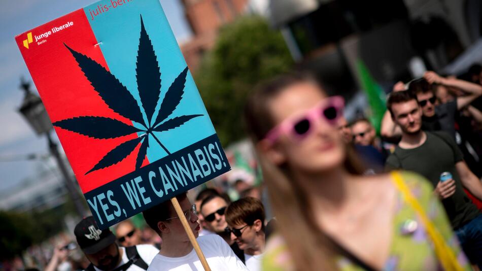 Cannabis ein Jahr