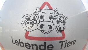 Rindertransporte in Drittländer