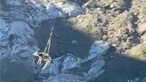Kuh wird per Hubschrauber ins Tal geflogen