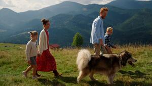 Urlaub mit Hund: Die hundefreundlichsten Reiseziele Europas