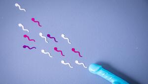 Konfetti in Sperma-Form liegt neben einem Penis-Strohhalm