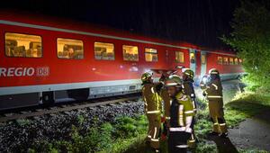 Regionalzug rammt umgestürzten Baum