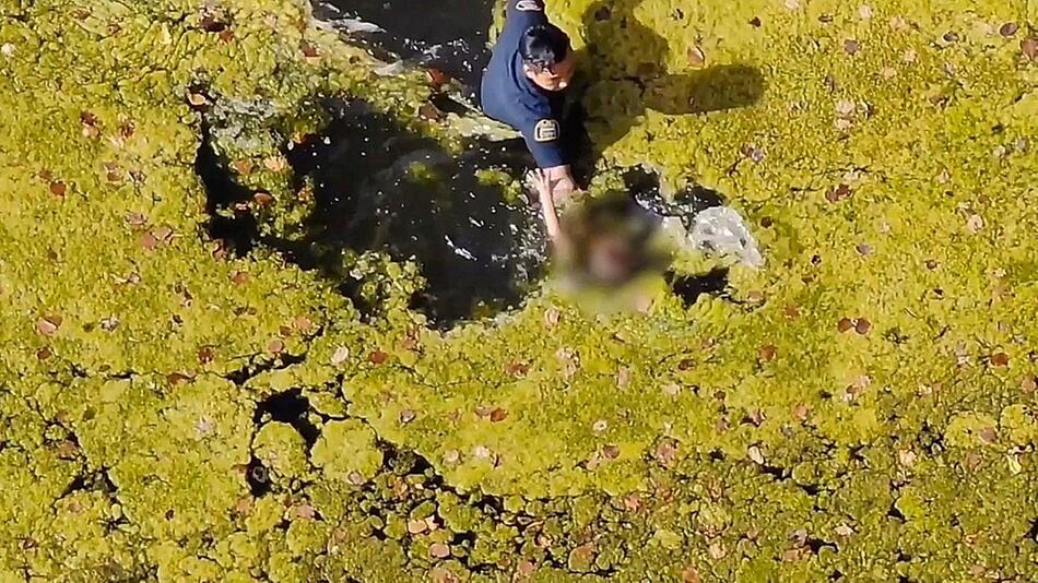 Drohne weist Beamten den Weg: Polizei rettet Kind aus See in Minnesota