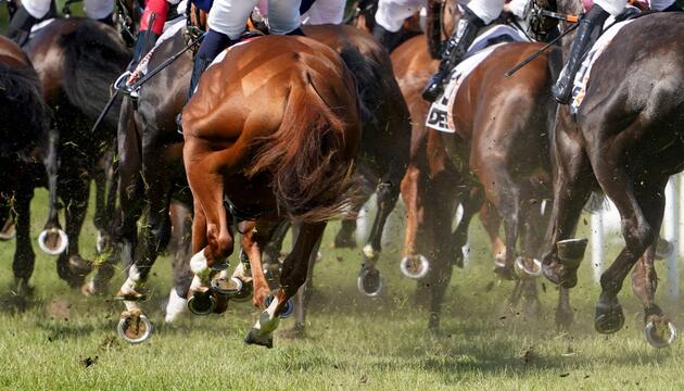 Galopp-Rennen in Hamburg-Horn