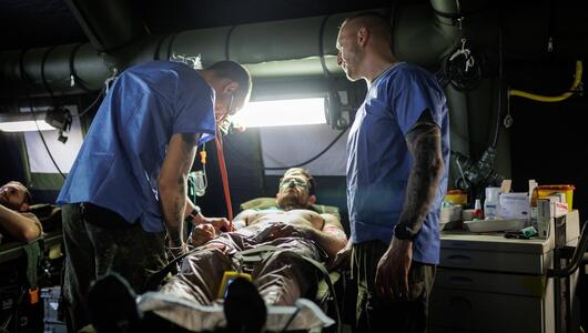 Gesundheitsversorgung in der Landesverteidigung