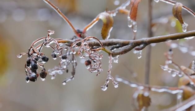 Wetterwechsel: Es wird milder und nasser