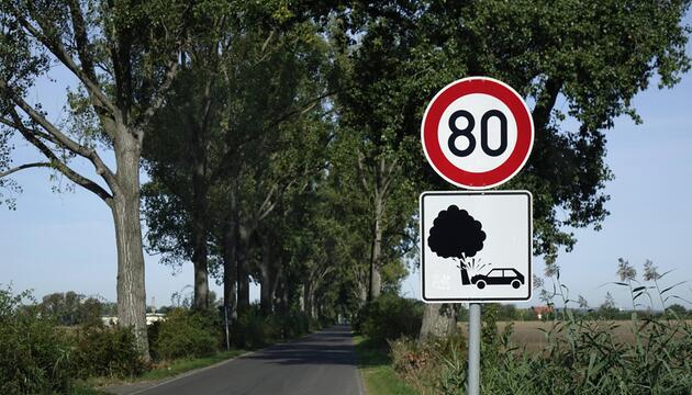Tempolimit Schild 80