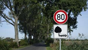Tempolimit Schild 80