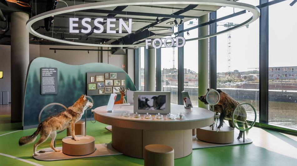 Ausstellung in der Botschaft der Wildtiere