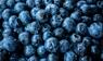 Heidelbeeren