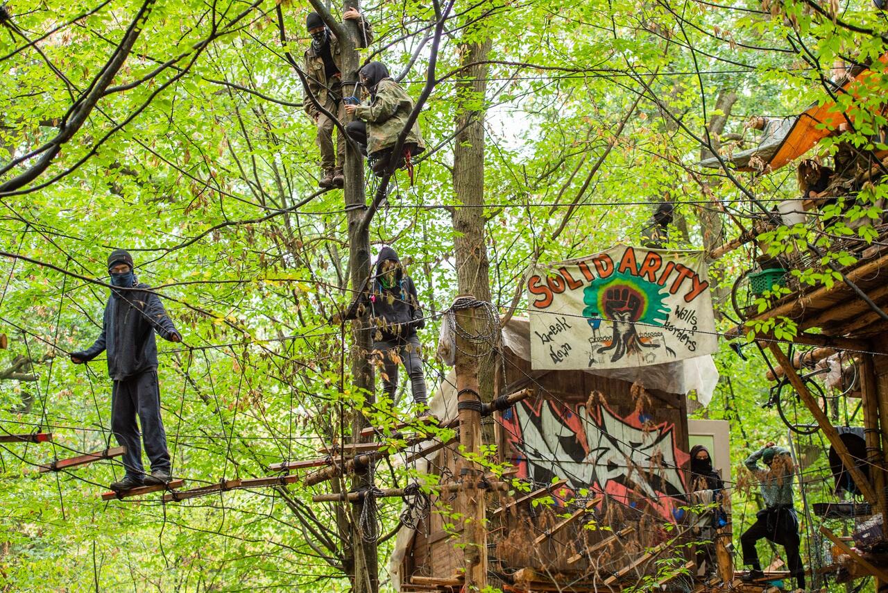 Bild zu Gegner des Braunkohleabbaus im Hambacher Forst