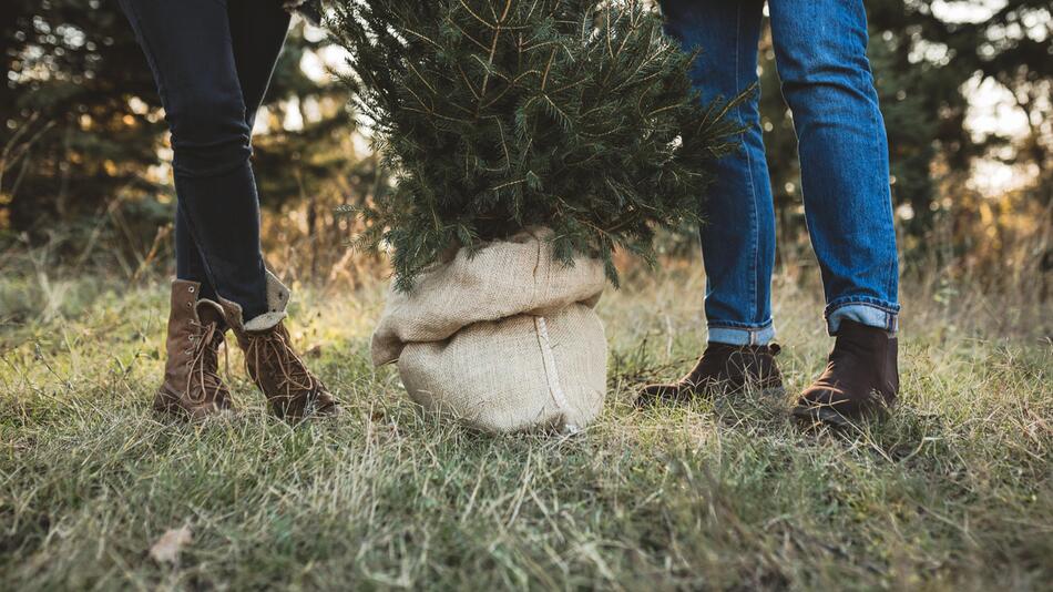 Zwei Personen stehen neben einem Tannenbaum mit Wurzelballen