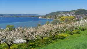 Die Marienschlucht liegt bei Bodman-Ludwigshafen am Bodensee.
