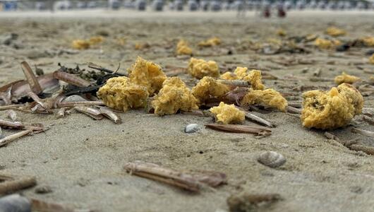 Klumpen an Inselstränden angespült