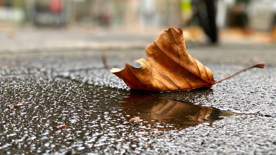 Herbstliches Wetter in Deutschland