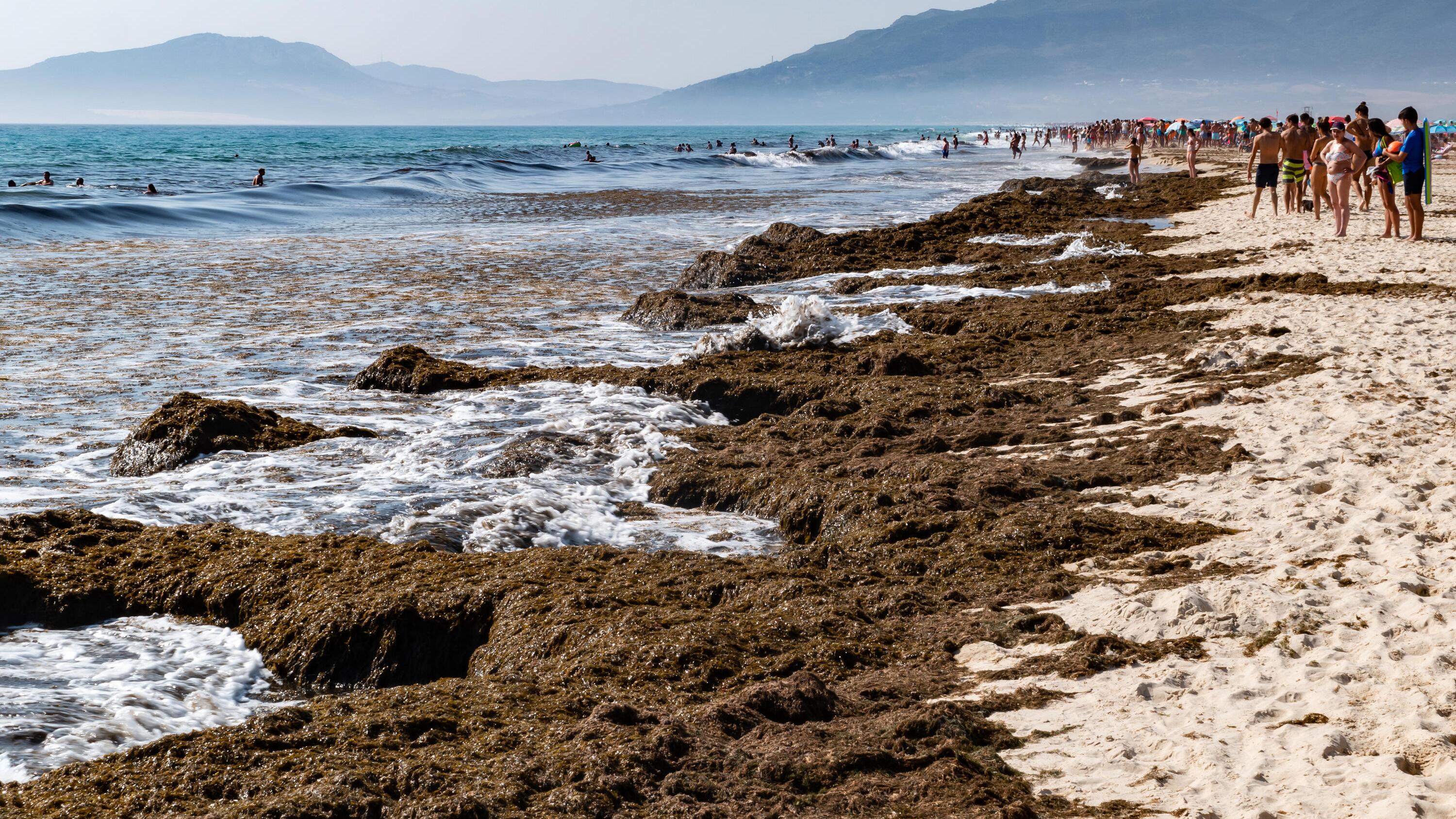 Alice delish porn pmv this beauty was incredibly kind and