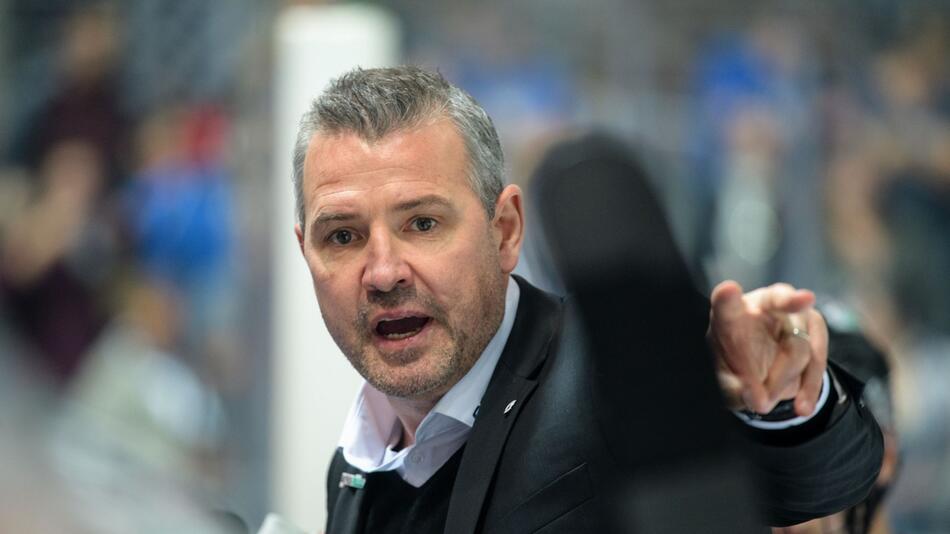 Eisbären-Trainer Serge Aubin