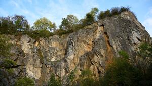 21-Jährige stürzt 15 Meter in die Tiefe und stirbt