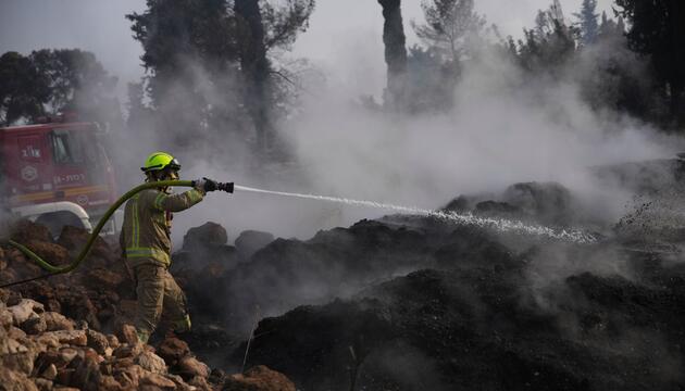 Waldbrand in Israel