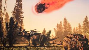 Asteroid schlägt ein und tötet Dinos