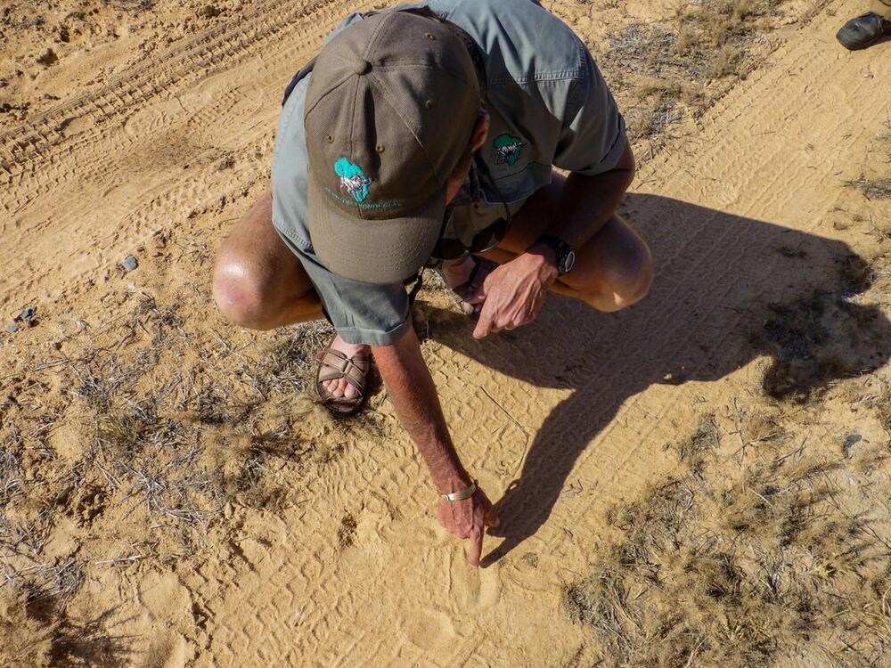 Eine Nashornfährte im Sand