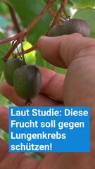 Laut Studie: Superfood soll vor Lungenkrebs schützen