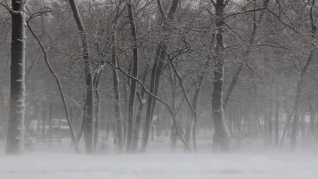 Arktische Kälte mit bis minus 15 Grad am Wochenende erwartet