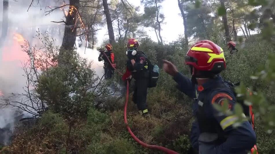 Kampf gegen Waldbrände nahe Athen