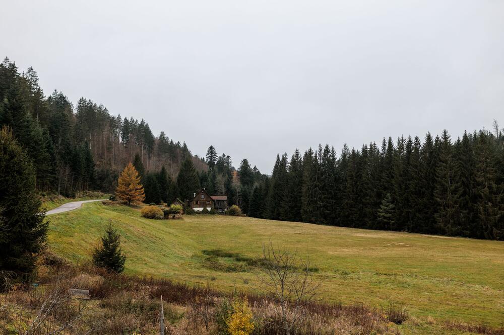 Erweiterung Nationalpark Schwarzwald