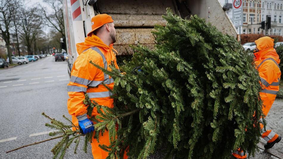 Stadtreinigung sammelt Weihnachtsbäume ein