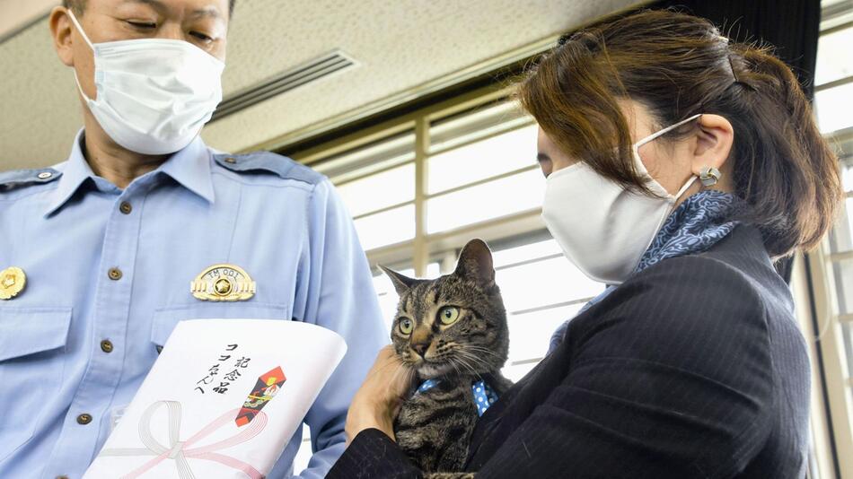 Kater in Japan erhält Dankesurkunde nach Rettungseinsatz