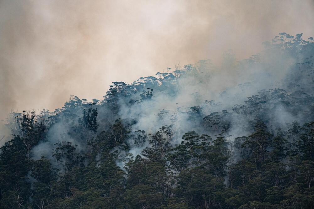 Buschfeuer sind ein großes Problem in Australien.