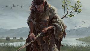 430.000 Jahre alte Grabstöcke