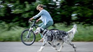 Eine Frau fährt Fahrrad mit einem Hund
