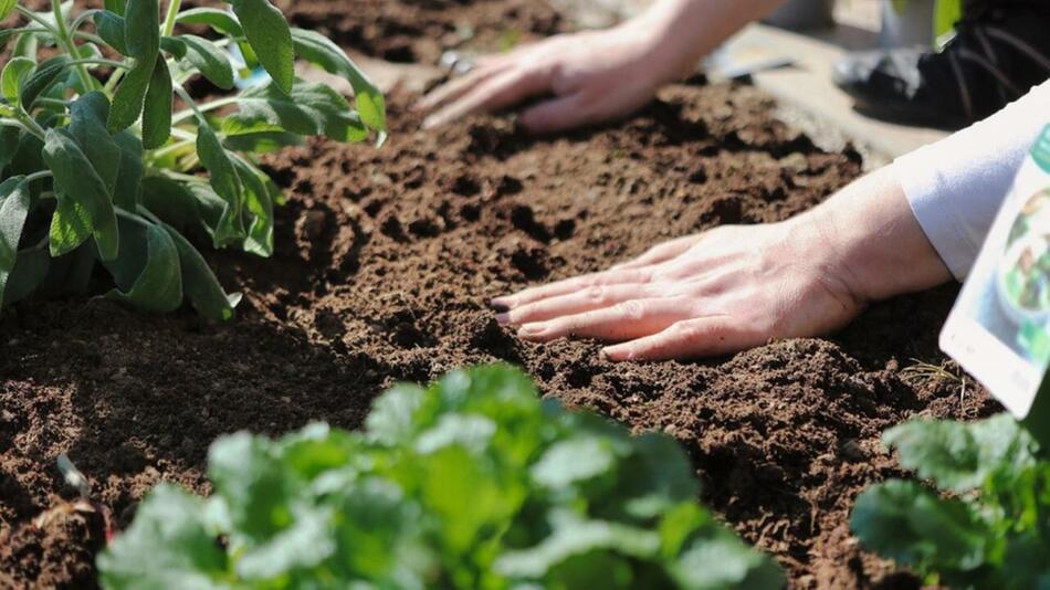 Garten bode aufwärmen